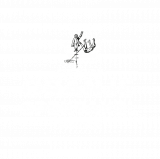 Stichting Oranjespektakel Maasdijk